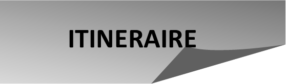 ITINERAIRE D'UN ENFANT DU ROCK