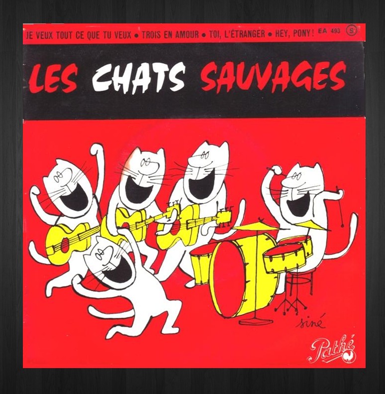 lES cHATS sAUVAGES