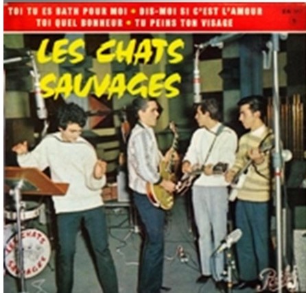 Cliquer pour agrandir